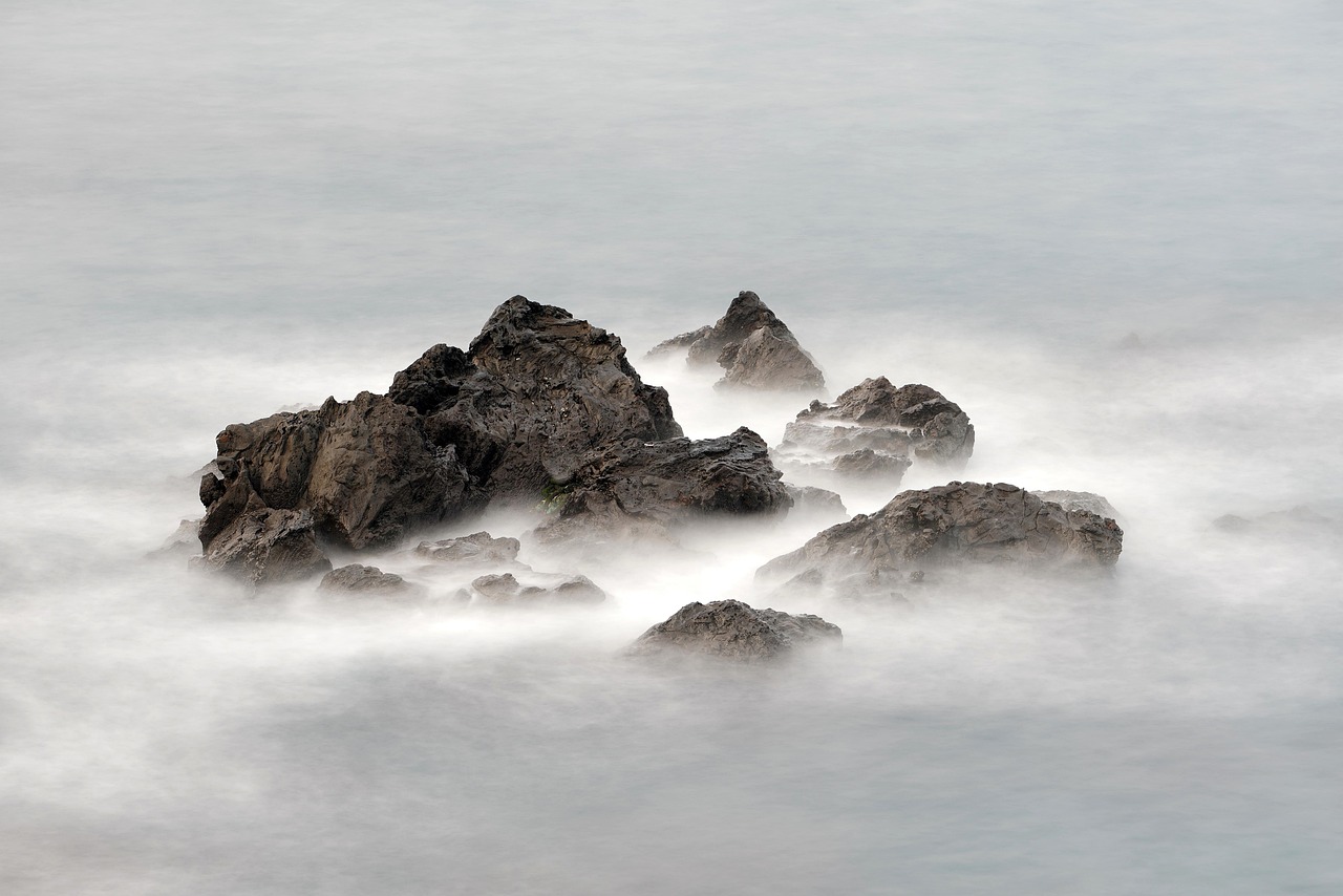 Navigating Fog, Wind, and Current: Staying Found on the Coast
